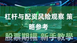 杠杆与配资风险观察 策略参考
